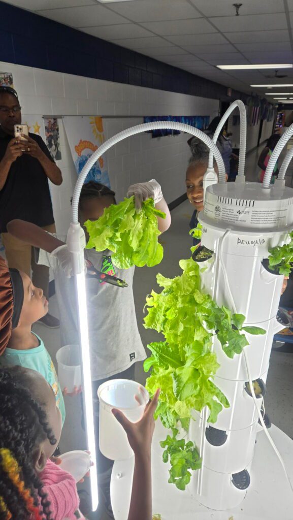 About Aeroponic Tower Gardens